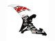Mejores Carenados Moto Yamaha YZF 1000 R1 2002-2003 - Blanco Rojo Negro Castrol