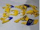 Mejores Carenados Moto Yamaha YZF 600 R6 2008-2016 - Amarillo Azul Camello Motul Michelin