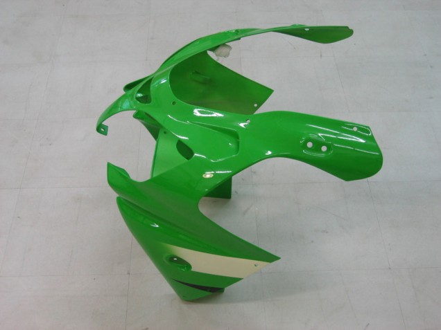 Mejores Carenados Moto Kawasaki ZX9R 2000-2001 - Verde Plata Negro