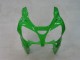 Mejores Carenados Moto Kawasaki ZX9R 2000-2001 - Verde Plata Negro