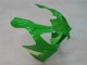 Mejores Carenados Moto Kawasaki ZX9R 2000-2001 - Verde Plata Negro