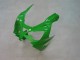 Mejores Carenados Moto Kawasaki ZX9R 2000-2001 - Verde Plata Negro