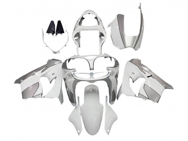 Mejores Carenados Moto Kawasaki ZX9R 2002-2003 - Blanco Plata